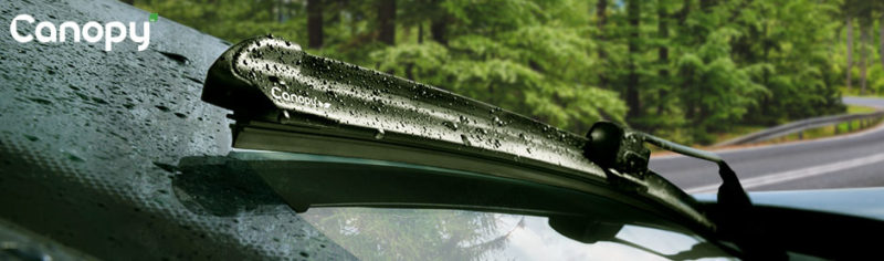 Canopy _Picture in situation_ 940x277